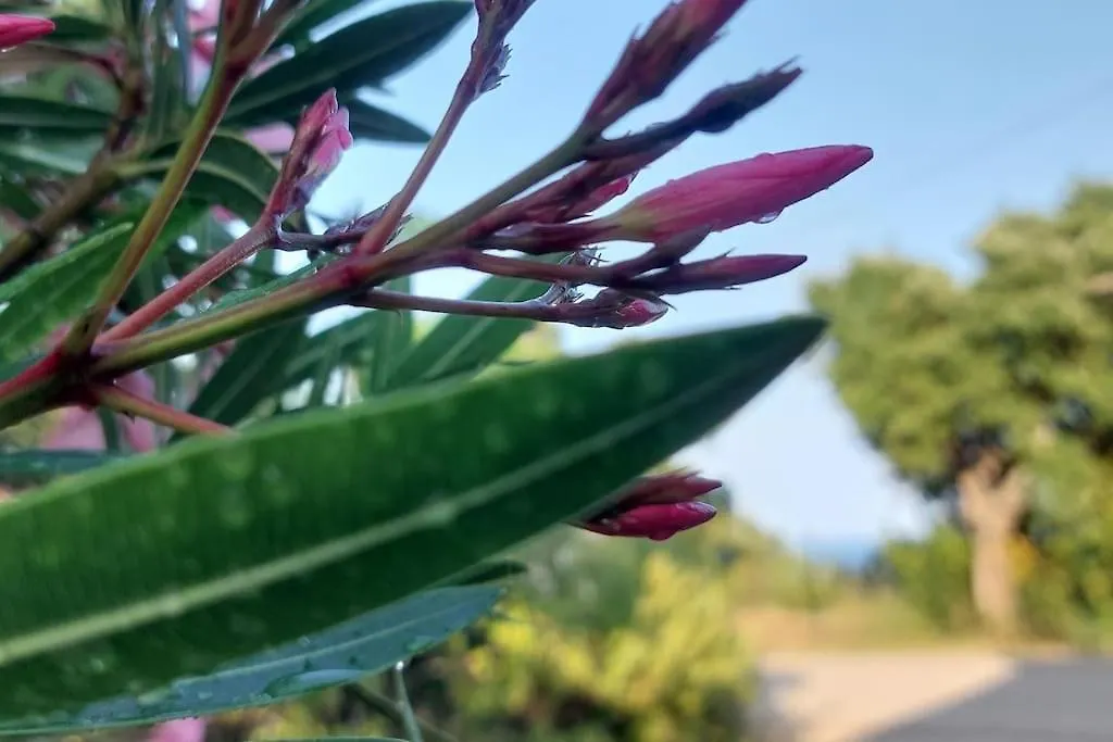 Villa Casa Perla Iridella à Capoliveri  Hébergement de vacances